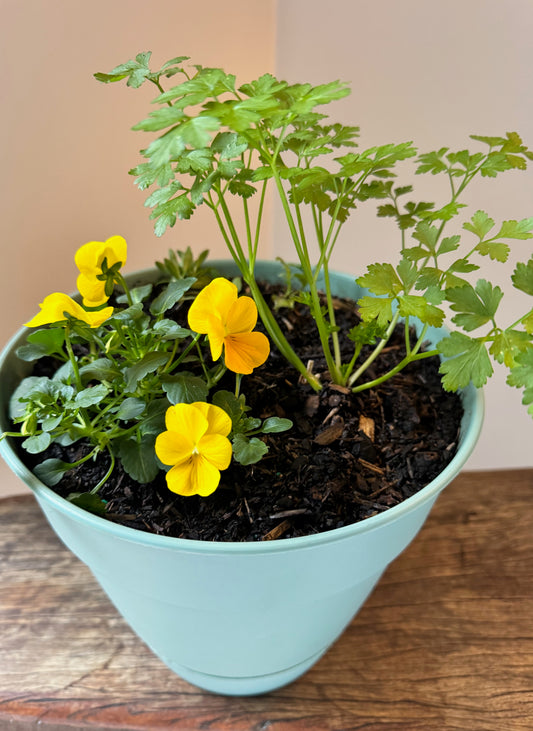Golden Garnish