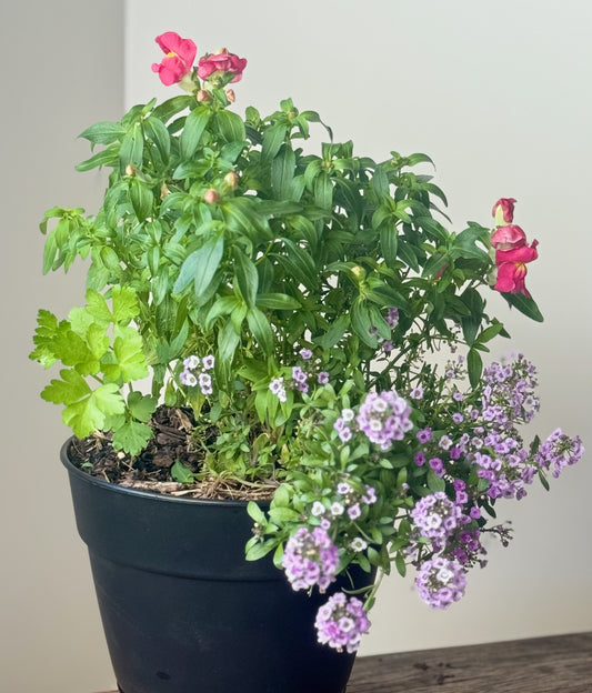 Mini Flower Power