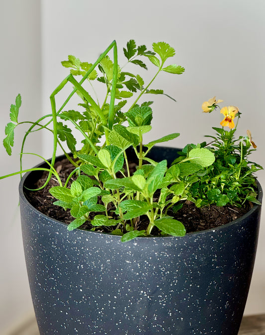 Golden Herbs