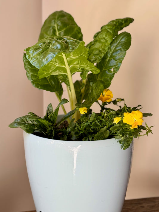 Golden Greens