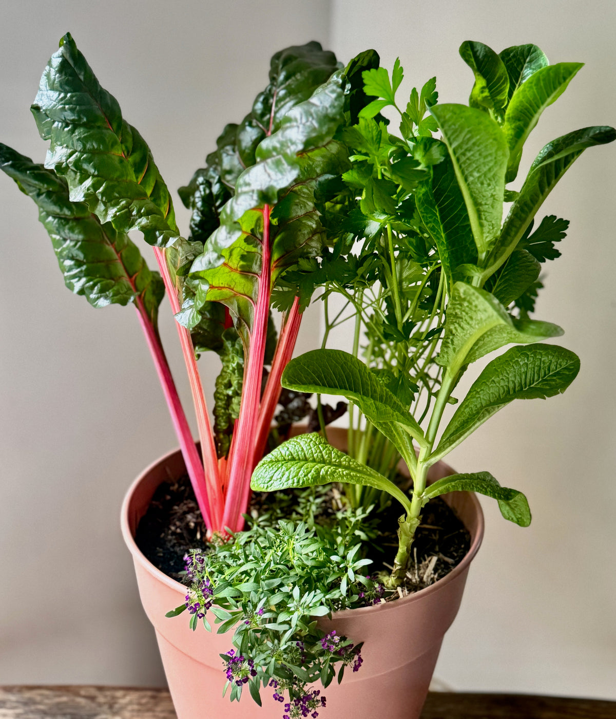 Vegetable Companions