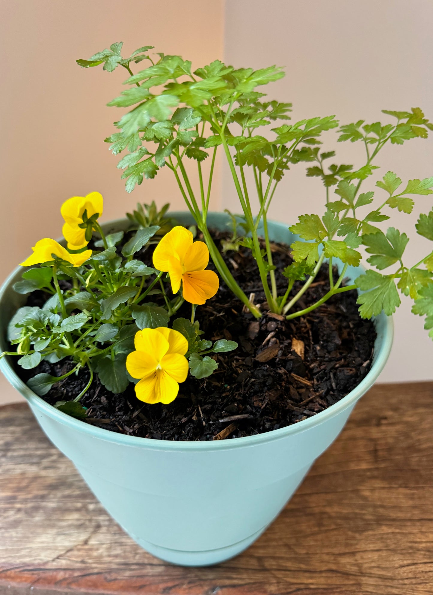 Golden Garnish