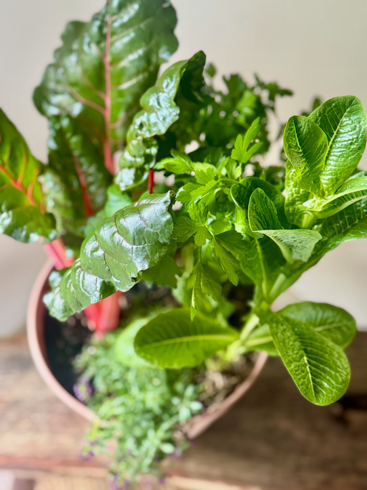 Garden Harvest
