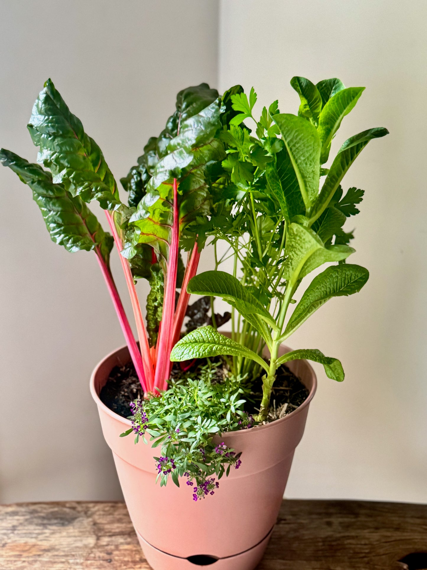 Garden Harvest
