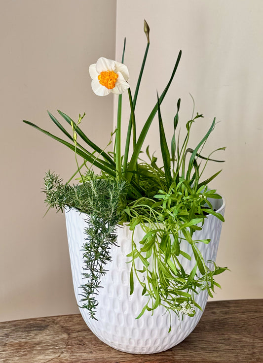 Spring Bulb Abundance