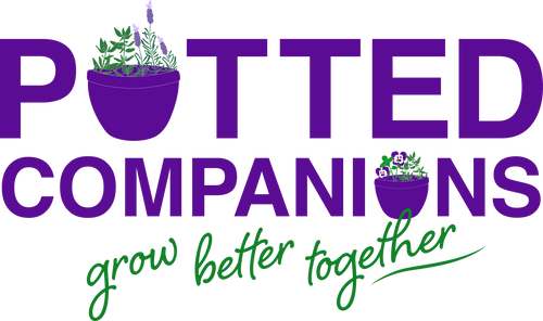 Potted Companions